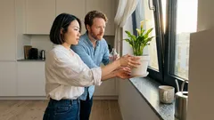 Calla auf der Fensterbank: Warum Feng Shui diesen Platz empfiehlt