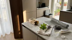 Piante aromatiche contro i topi in casa: quali funzionano davvero e dove metterle