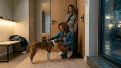 Hund weckt dich nachts? Die häufigsten Gründe und was wirklich hilft